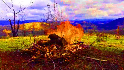 Item #50586045322935652405689262764889663081015802704882758935723149358244172922881 Media