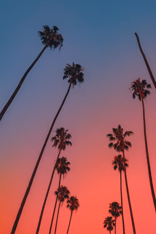 Item #35557780727049604459658880725917592814256363748111026780455796817877243265025 Media