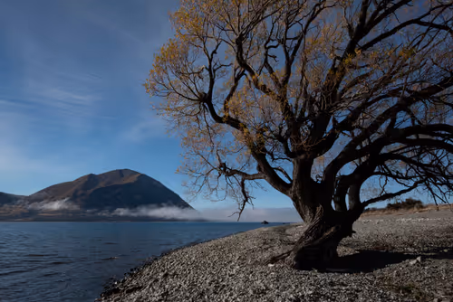 Item #108547290172068983727785202246252609350304201814617164826611776866603711332353 Media