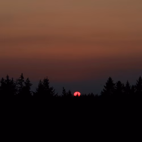 Last Light