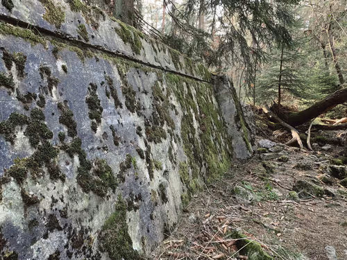 Item #105824048542883402372439637698233055099864619322085015812038144098966196715521 Media