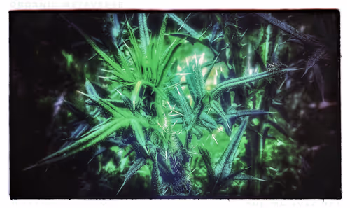 Item #3787080761074609709675817509753112159059746763483256848434353580886152183813 Media