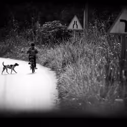 84834639463328091260484975677994672960317612935287513554023817868325773377537