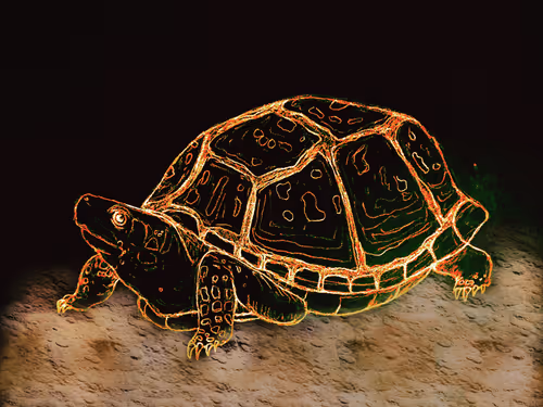 Item #58464231899672554220977429482409761262837585671771119037668409147594299670529 Media