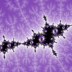 forks and spirals [6/6]