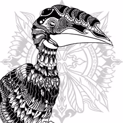 ORNATE HORNBILL