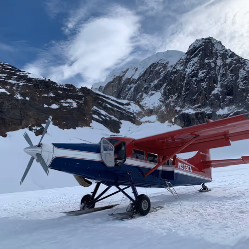 BartZimpson Collection