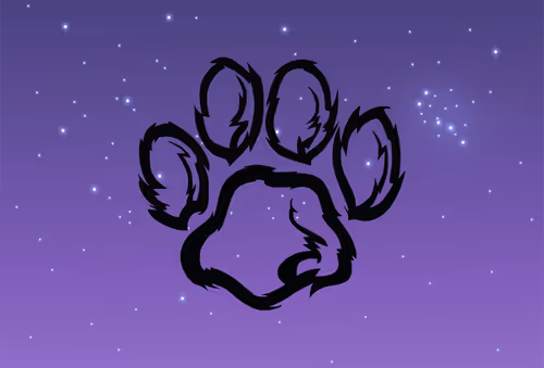 Item #98452652739139728385833177139880784176422420203299536309471942758019540975617 Media