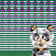 34122881100679136731510750586076968188789224911755090927813252961477765103617