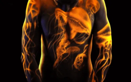 Item #111264837435920832084476769001979799246726519761492782389517233944831656460298 Media