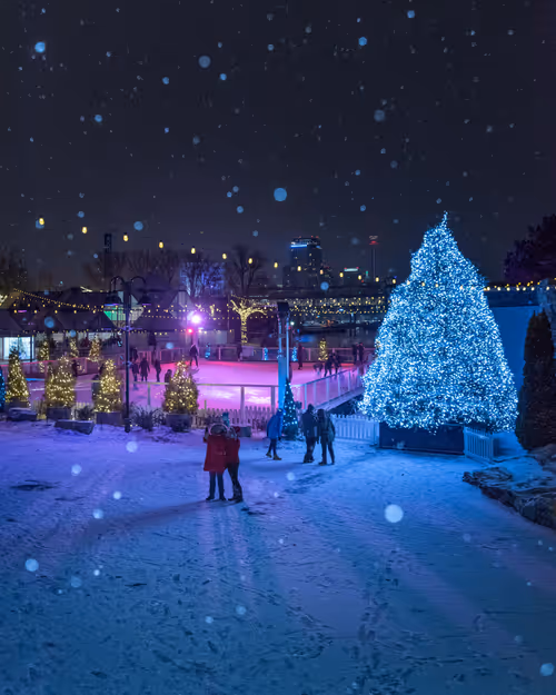 Item #25110026198913534228746200308766154956864660367097270753648320690085416665089 Media