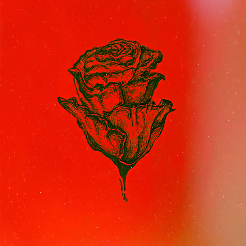 Transformative Rose