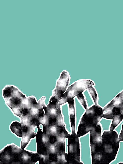 Item #25379124807980713745219244606437574046087384809022650852355167119217493278721 Media