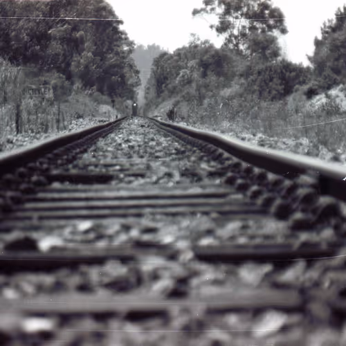 17170766491500085813784528329408520152162080499931486046086089350290497077253