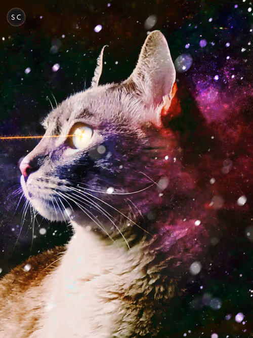 Item #56114814756646127397705002134489221206320113324181291230627375178819227877377 Media