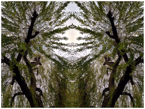 Item #39842122399831876294969041227459341578040195517803177153867578406633436348417 Media