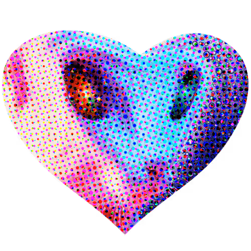 Item #59132355562186324700850821844442436394047262304885251221794294043591850328065 Media