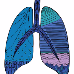 28824502245252267217549902857601847351510039266873569823091148298667853611009