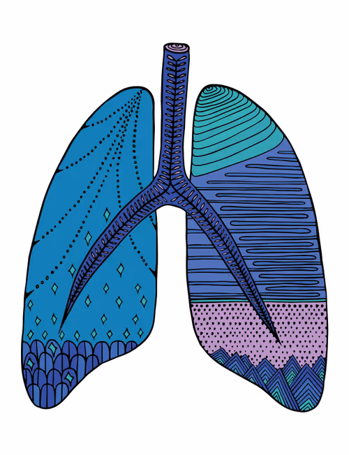 Item #28824502245252267217549902857601847351510039266873569823091148298667853611009 Media