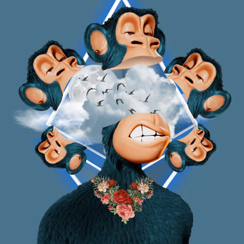 Untitled Collection #148855132