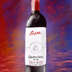WineFiesta #26 - Wine Bottle Sketch Penfolds Quantum 2018 Cabernet Sauvignon with Visual Tasting Notes 