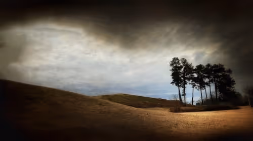 Item #82086394152813496729852745644400301310809698688948886085589871408726241443841 Media