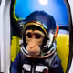 17876157683836361572001269425840274969299137173333859522700578147257469108225