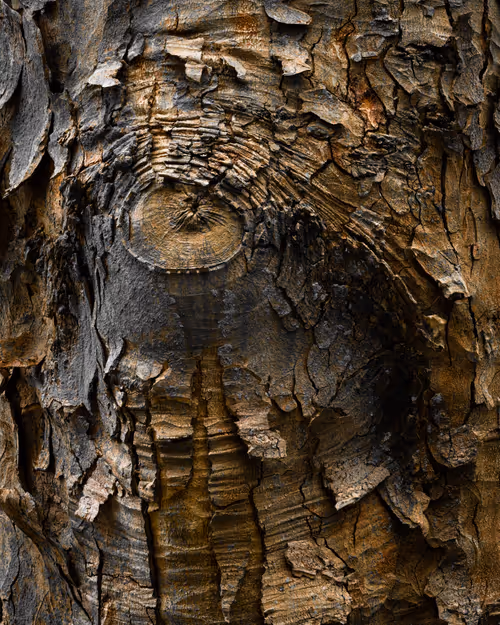 Item #92025450797269199699519638407999947828010124563072321716364901905647653617665 Media