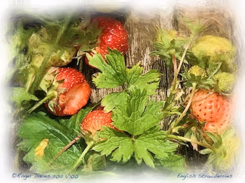 Item #25766228410116791685339336380012731519026805930459738932816938847893542928484 Media