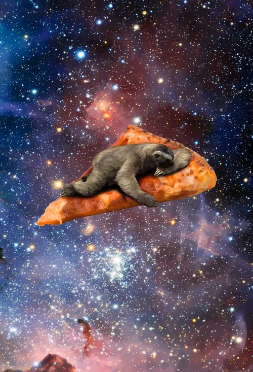 Item #69104966514037571528085156487330903754618094232696540022620135499935122456577 Media