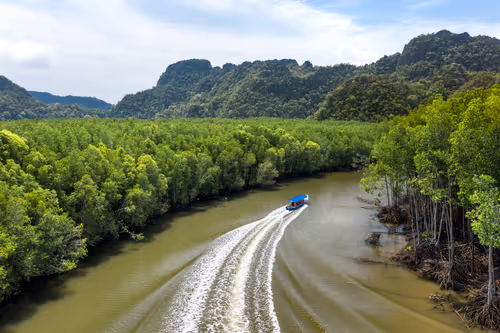 Item #63523364168895166174582155522401431768249069282983621171475144149143274913793 Media