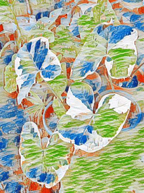 Item #69261177602478584146078213691104273677815526894191982293268528068448604913665 Media