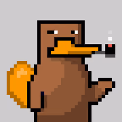 Platy Punk #884