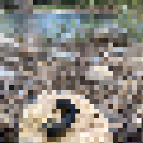 Pixelatedshit