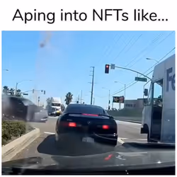 Aping into NFTs like... 3