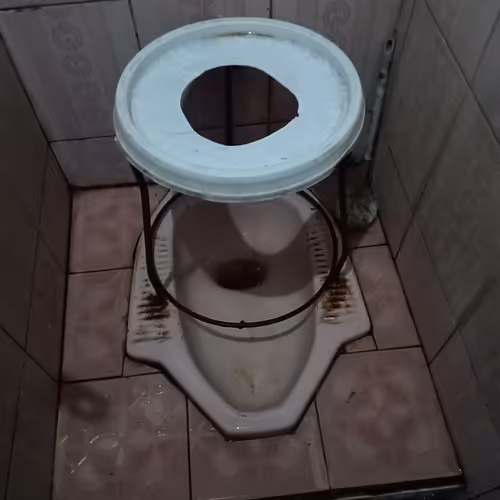 Untitled Collection #3187574990