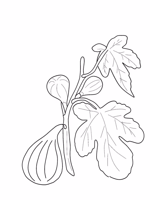 Item #88586504170275738881642373300592236200756239934994765531384634095252233256961 Media