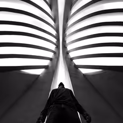 18584792688976081687496510348358077396917471197062973522239620363050794614785