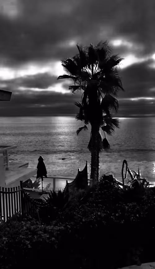 Item #106869733284399186268858061058635250157997986921669200159515289283487846105091 Media