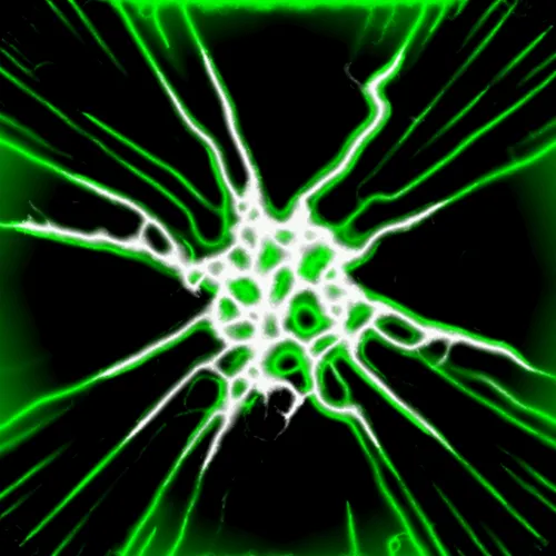 Item #51929734946411346289540790635765095060363125039145709683616697271706426802177 Media