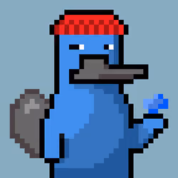 Platy Punk #2011