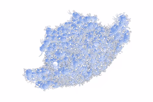 Item #55790246764296180769672385951484343177052912213914674839922757430595477831681 Media