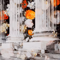 Doric Blossom