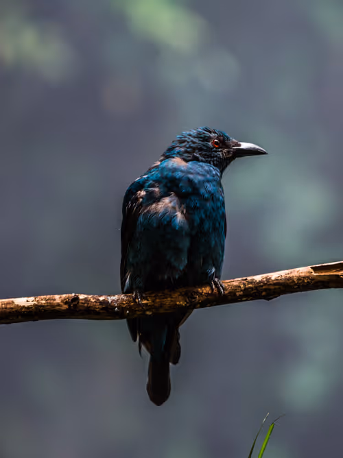 Item #95979719435638396747386199908027492606241793835179361379046606508207479193601 Media