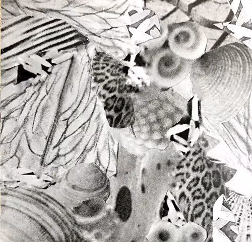 Item #87414030977242404074607737176554997230308659051601397280758356089462656598017 Media