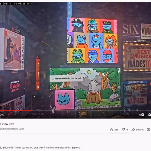 BluddyBuddy Collection