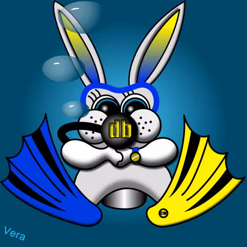 DiveBunnies helping other