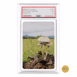 NFT.CARDS : SERIES 2 : #shrooms : #10 : GOLD CAPS