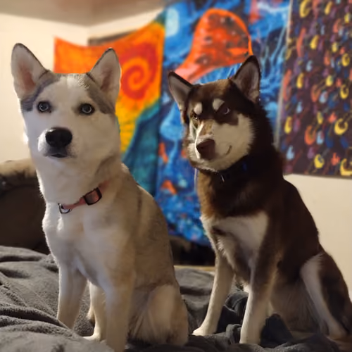 XENA & XEKE