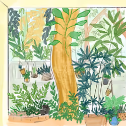 1st Floor backyard